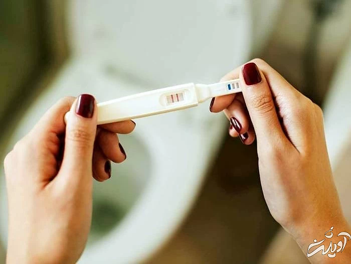 بی بی چک ناشتا